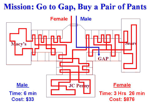 the shopping habits of